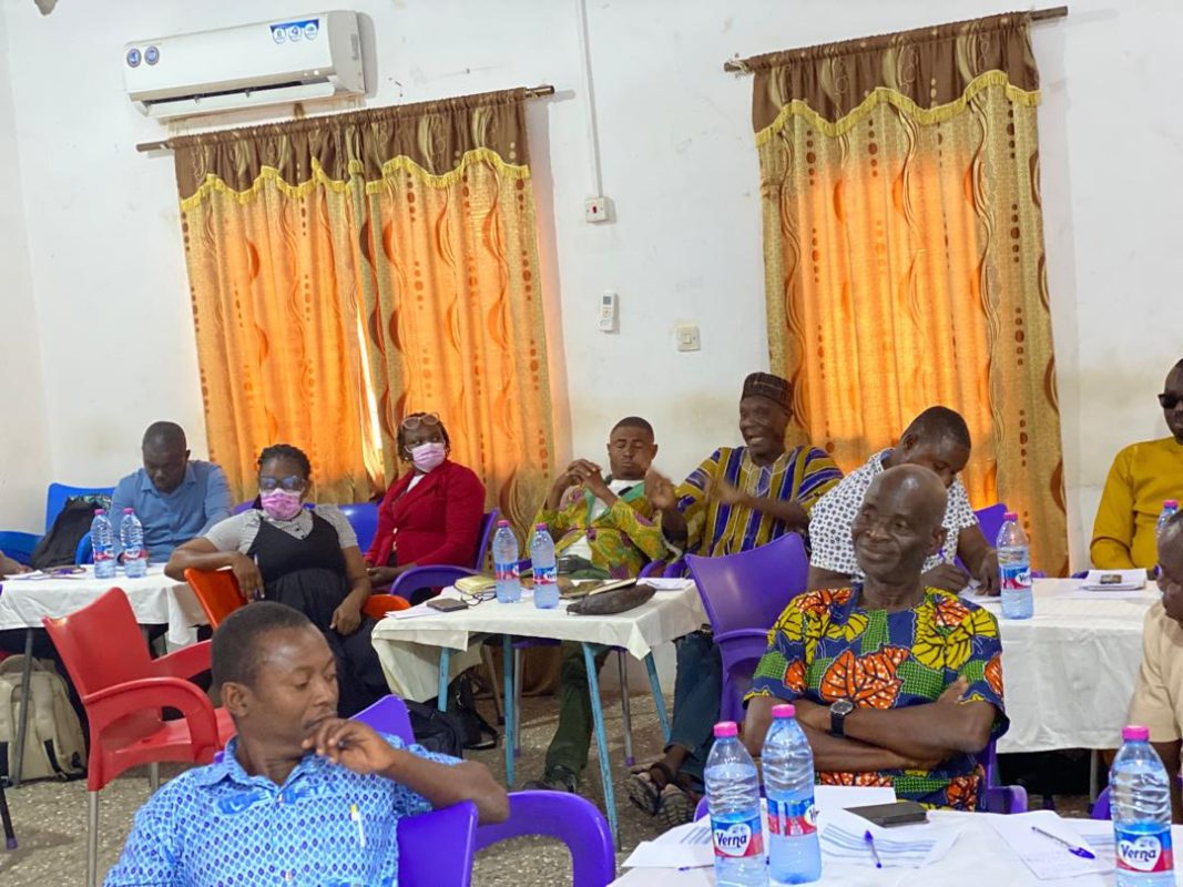 Participants at the zoonotic disease reporting planning workshop in West Africa