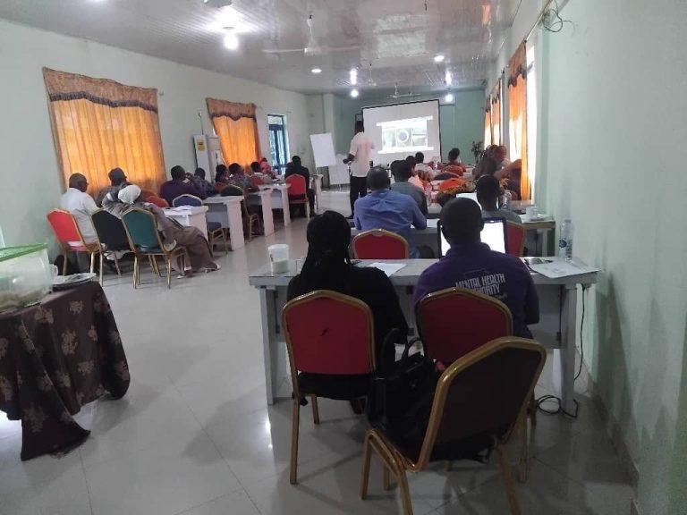 Participants at the diabetes risk and management stakeholder workshop