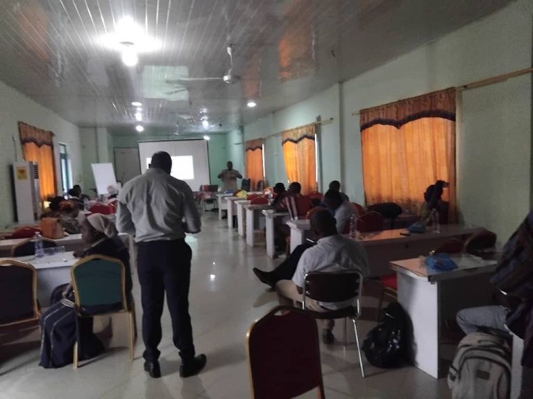 Participants at the diabetes risk and management stakeholder workshop