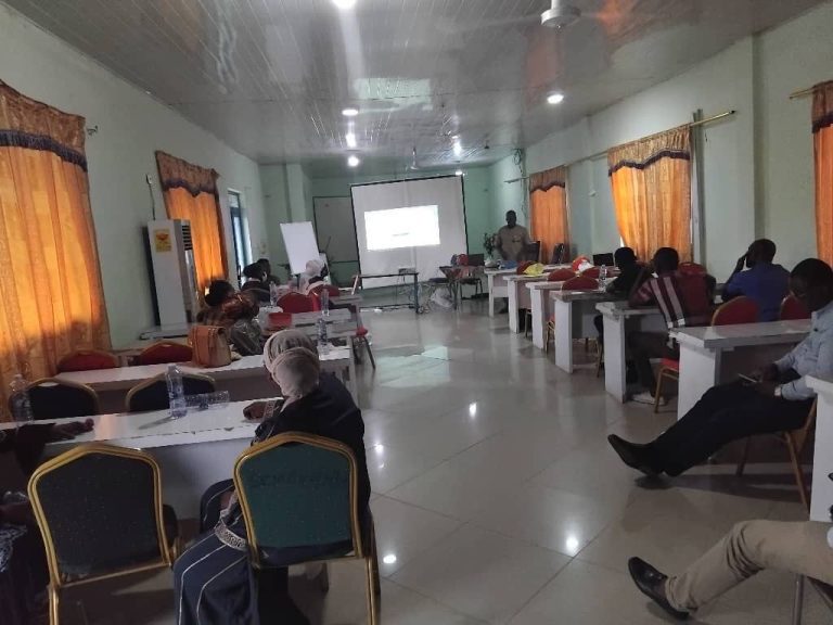Participants at the diabetes risk and management stakeholder workshop