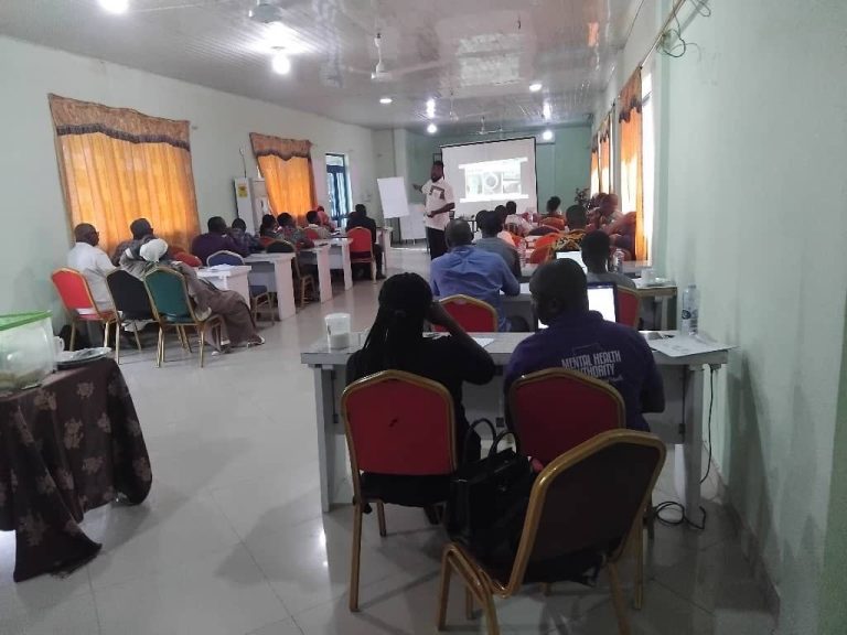 Participants at the diabetes risk and management stakeholder workshop