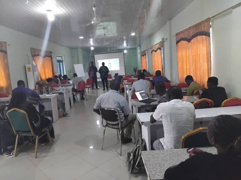 Participants at the diabetes risk and management stakeholder workshop