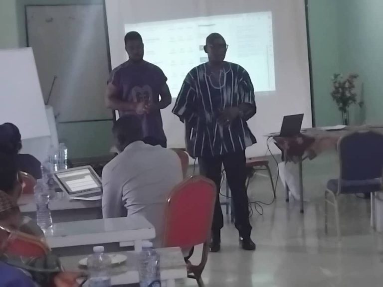 Participants at the diabetes risk and management stakeholder workshop